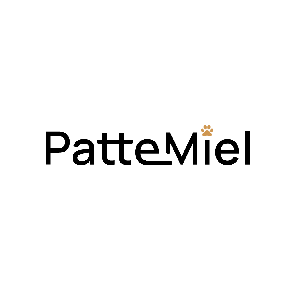 Pattemiel logo